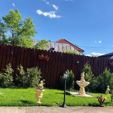 Casa Alexia Hotel Hátszeg Kültér fotó