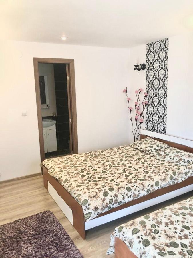 Casa Alexia Hotel Hátszeg Kültér fotó